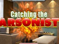 The Arsonist