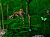 Wild Animals Forest Escape