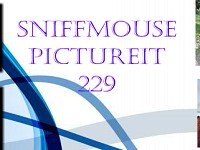 Sniffmouse PictureIt 229