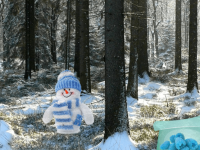 Winter Wonderland Forest Adventure