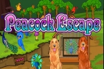 Peacock Escape