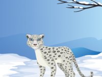 Find Christmas Cap Of Snow Leopard