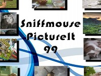 Sniffmouse PictureIt 99